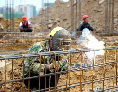 一切圍繞項目干,一切圍繞項目轉丨登科山公園