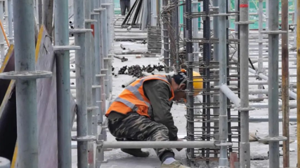 春之聲 | 長遠小學新建項目建設忙 綠化園林建設