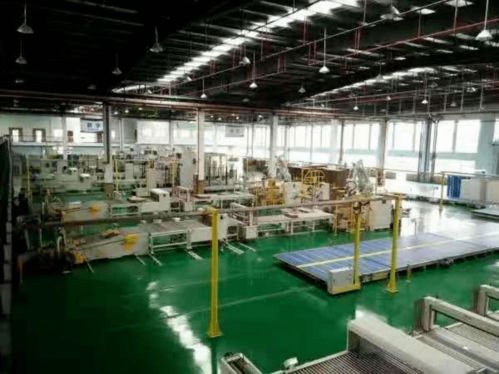 綠色共贏，創新發展 大勝達包裝的全方位解決方案與木工工程建設